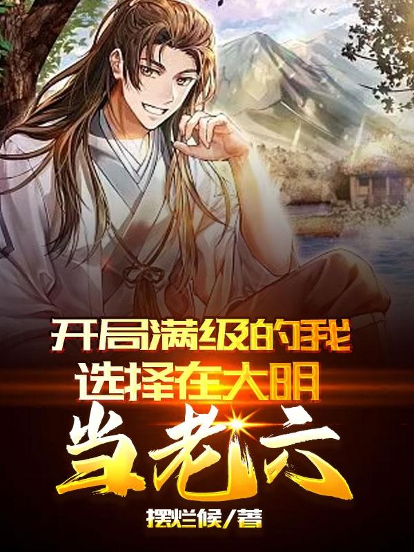 小说 开局满级